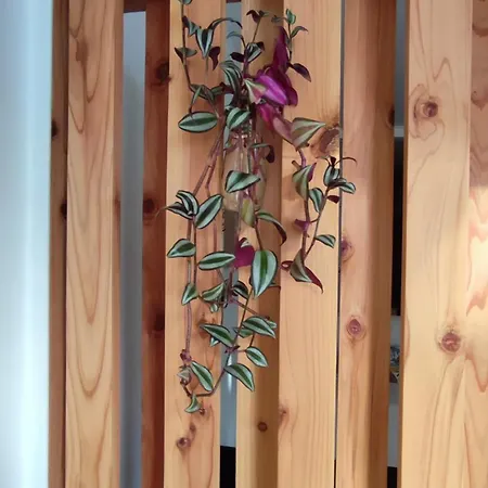 Apartment Casa Hurtere *